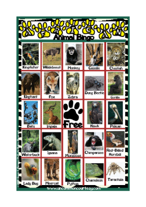 african animals for kids. African Animals Bingo Game