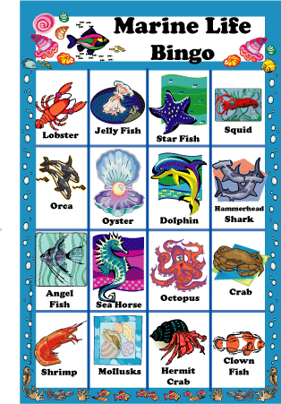 Marine Life Bingo Game